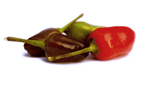  Filius Blue Chilli Pods 