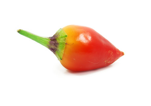  Firecracker Chilli Pod 