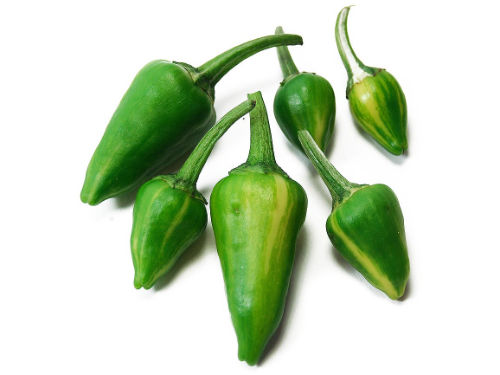  Fish Pepper Chilli Pods 