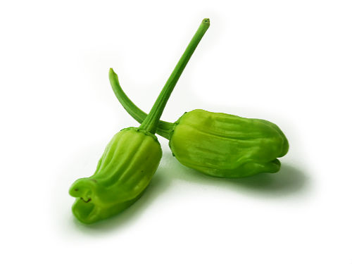  Grekisk Chilli Pods 