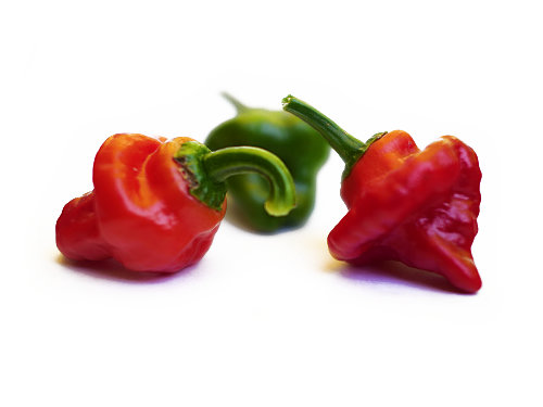  Mushroom Chilli Pods 