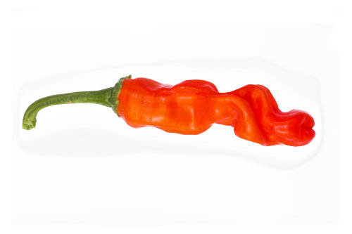  Peter Pepper Chilli Pods 