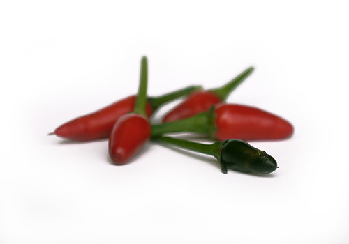  Royal Black Chilli Pods 