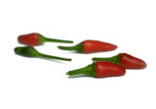 Zimbabwe Black Chilli Pods 